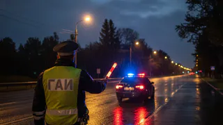Инспектор останавливает вас ночью в темноте? Сотрудник ГАИ объяснил, когда можно законно не предоставлять документ к осмотру