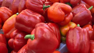 Вологда осенью примет всероссийский конкурс "Лучший по профессии"