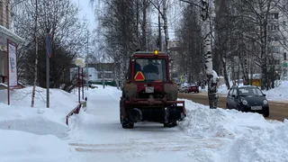 В Вологде за сутки вывезли 530 кубов снега и украсили новогодние ели