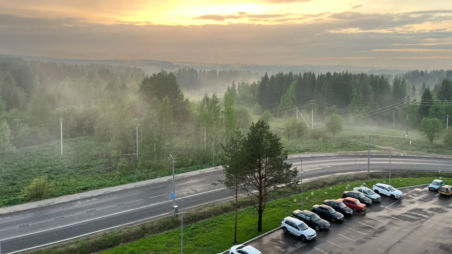 Погода в Вологодской области 18 августа 2026: циклон срывает планы на конец лета
