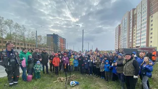 На Белозерском шоссе Вологды заложен «Сад памяти»