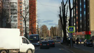 С 5 июня будут лишать прав сразу на 1,5 года: ГИБДД начнет искать именно 3 типа водителей