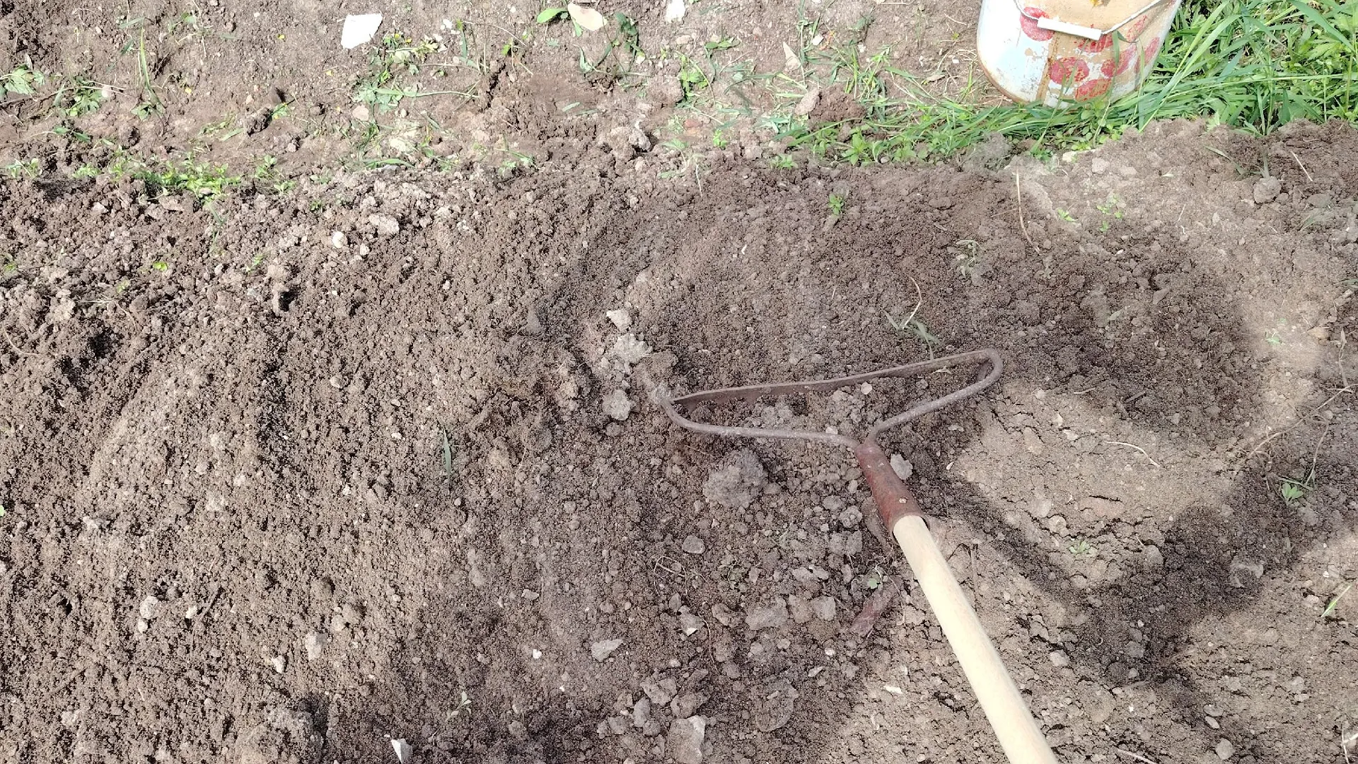 Непогода не помешала перевыполнить план по яровому севу в Вологодской области