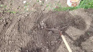 Непогода не помешала перевыполнить план по яровому севу в Вологодской области
