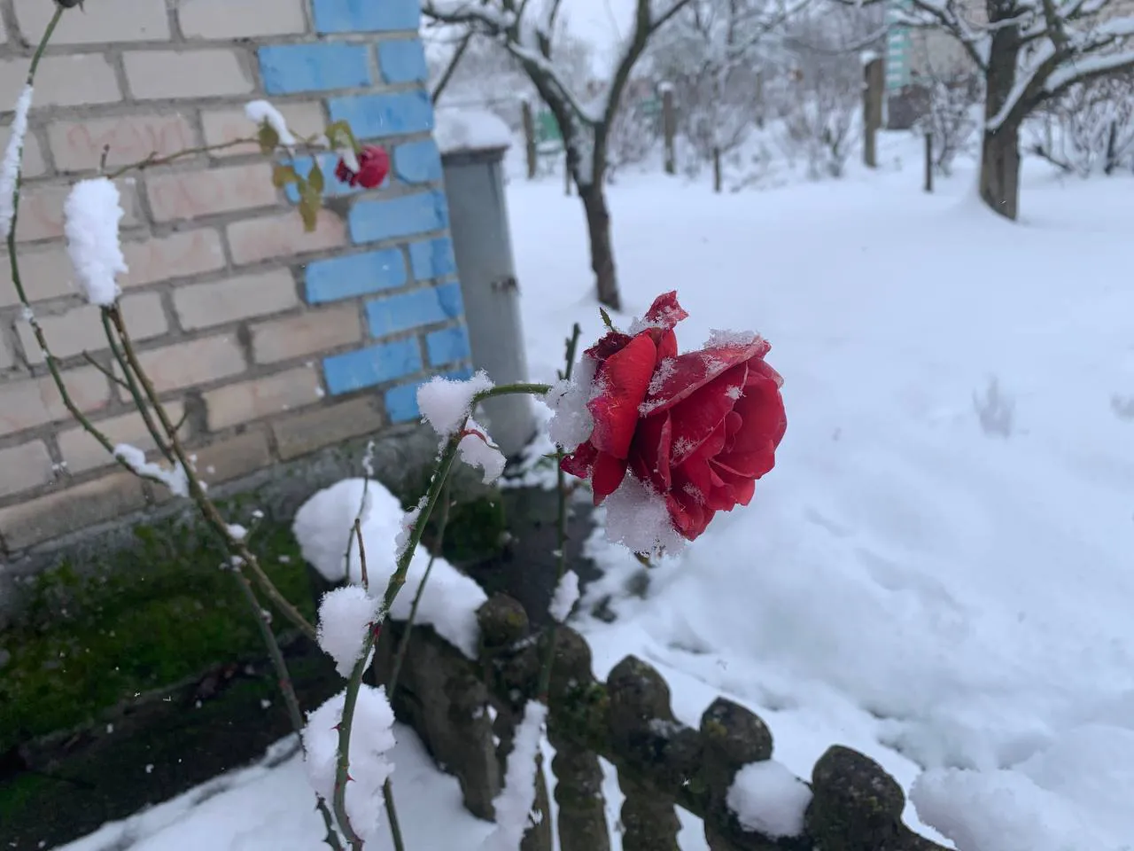 Январские морозы обрушатся на Россию уже в декабре: Вильфанд предупредил россиян о прогнозе