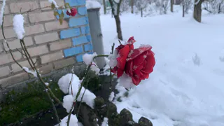 Январские морозы обрушатся на Россию уже в декабре: Вильфанд предупредил россиян о прогнозе