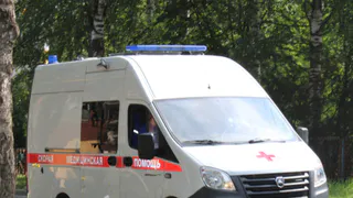 Жителей Вологодской области предупредили о новых правилах приоритета для специализированного транспорта