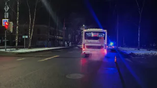 В Вологде автобус сбил 16-летнего подростка на «зеленый»
