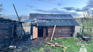 За прошедший день в Вологодской области ликвидировали 9 возгораний