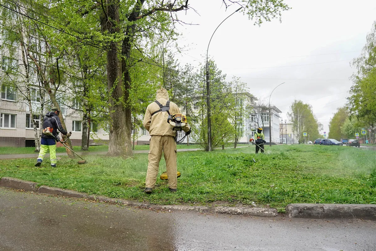 В Вологде начали сезон покосов раньше срока: 600 гектаров под контролем мэра