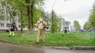 В Вологде начали сезон покосов раньше срока: 600 гектаров под контролем мэра