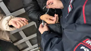 Пятеро нелегальных мигрантов будут депортированы из Вологодской области