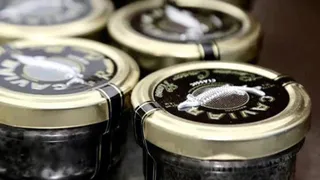 Вологодская осетровая икра впервые отправлена в Индию