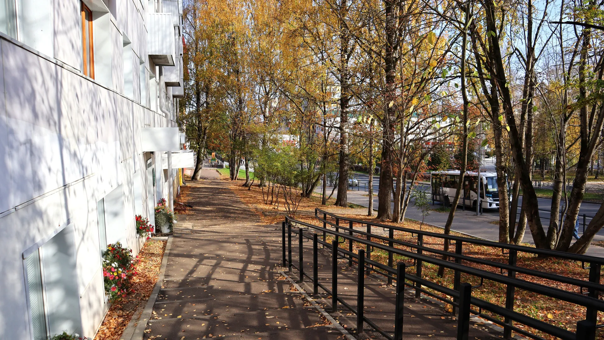 Прогноз погоды в Вологодской области на 14 октября: циклон ослабевает