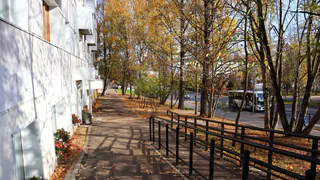 Прогноз погоды в Вологодской области на 14 октября: циклон ослабевает