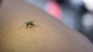 Это копеечное средство от комаров покупаю уже в апреле: летом ни одного укуса на коже - близкие полюбили природу