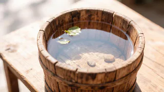Столовая ложка на ведро воды – и морковная муха корчится в муках: корнеплоды с локоть – толстые, ровные и слаще меда