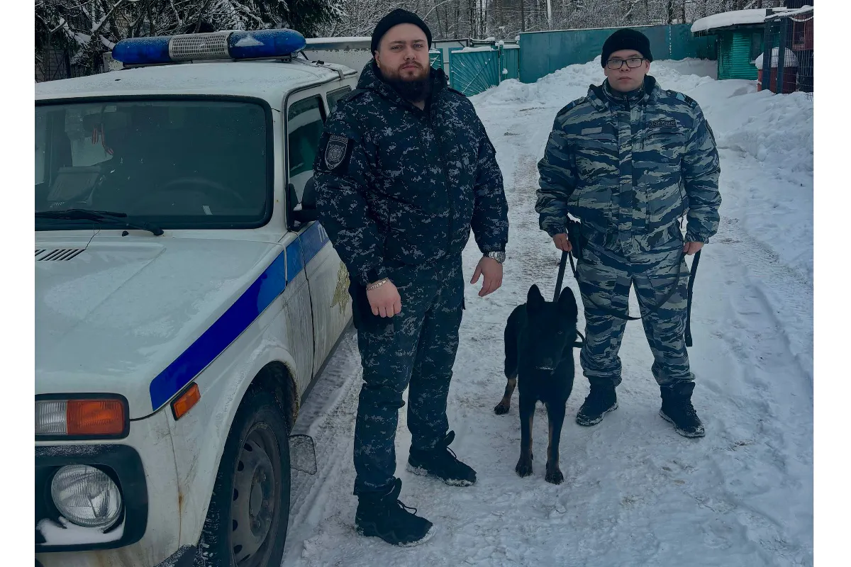 В Вологодской области полицейские с кинологом нашли пропавших подростков