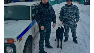 В Вологодской области полицейские с кинологом нашли пропавших подростков