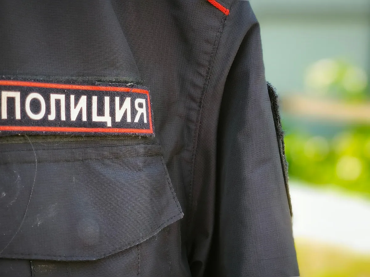 В Вологде ранее судимая женщина украла мопса и телефон у подруги