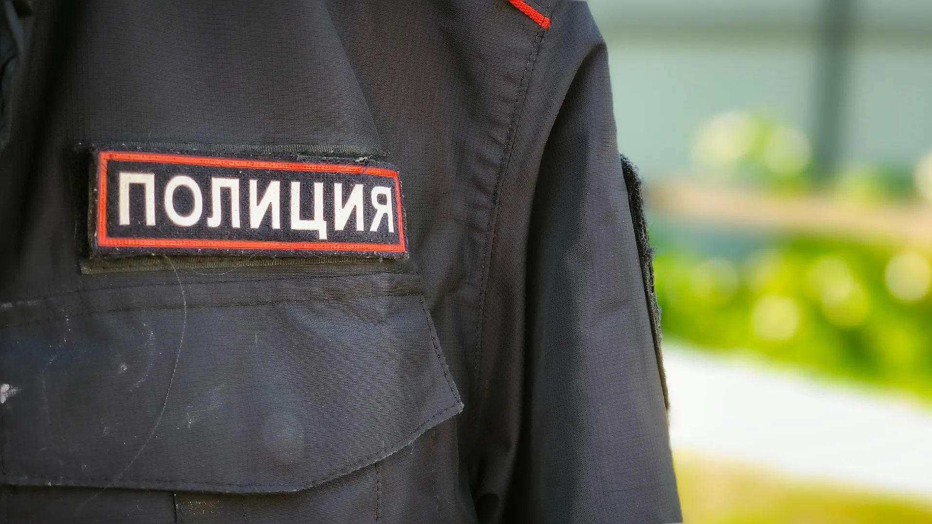 В Вологде ранее судимая женщина украла мопса и телефон у подруги