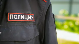 В Вологде ранее судимая женщина украла мопса и телефон у подруги