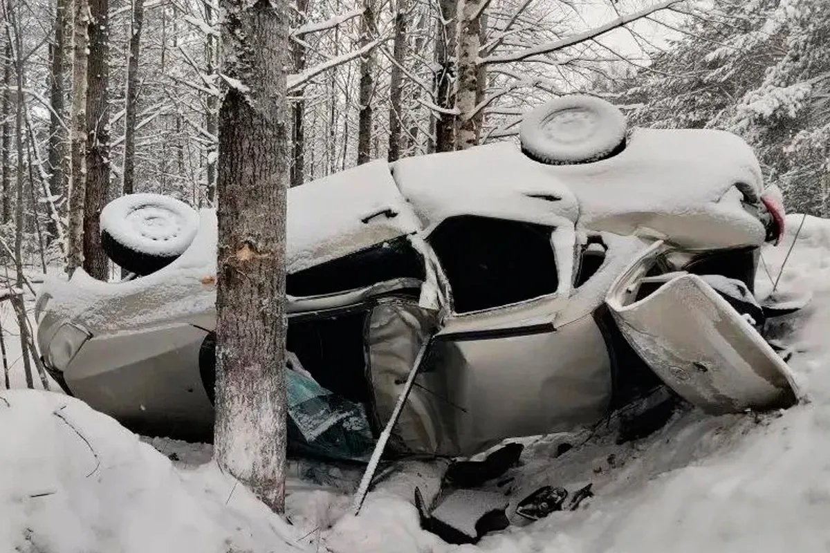 Авария в Вологодской области унесла жизнь молодого водителя