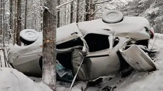 Авария в Вологодской области унесла жизнь молодого водителя