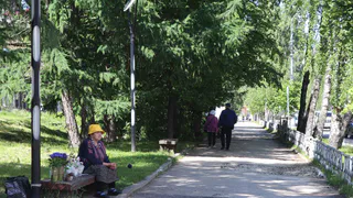 Прогноз погоды в Вологодской области обещает сильные ливни и грозы 17 июня