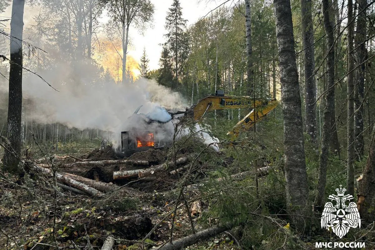 В Вологодской области во время работы в лесничестве вспыхнул экскаватор