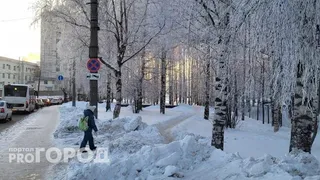 «Декабрь, январь и февраль будут сумасшедшими»: синоптики дали новый безумный прогноз на зиму