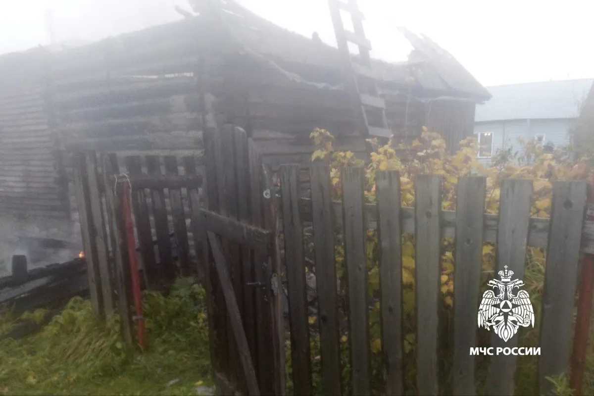 Житель Вологодской области получил ожоги при самостоятельном тушении горящей бани