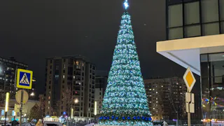 Главная ёлка Вологды засияет огнями уже 27 декабря