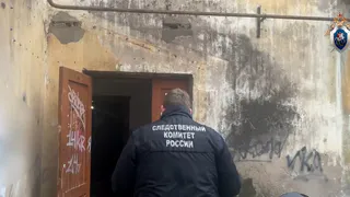По факту гибели трех человек при пожаре в Вологде следствие возбудило уголовное дело