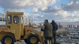 Волонтеры из Вологды помогают ликвидировать последствия экологической катастрофы в Краснодарском крае