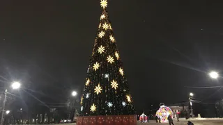 Главная ёлка Вологды на площади Революции готовится к празднику