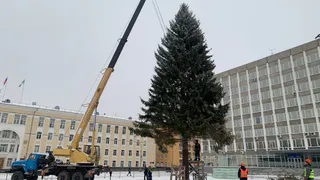 Администрация Вологды намерена выделить свыше 1,8 миллиона рублей на установку двух новогодних елей