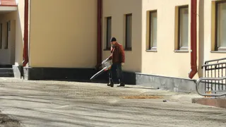 В Вологде организовали масштабную уборку листвы