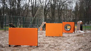 Ковыринский сад получит специальную площадку для выгула собак: комфорт для животных и вологжан