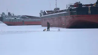 В Вологодской области разрешили выход на лёд Шексны