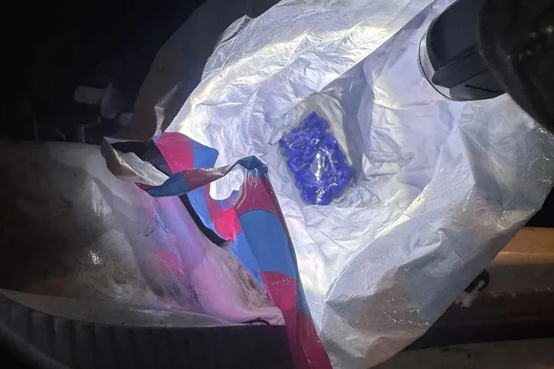 В Вологодской области задержан пассажир такси с 84 граммами синтетических наркотиков: фигуранту грозит до 20 лет лишения свободы