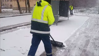 Вологда станет чище: штат дворников удвоится