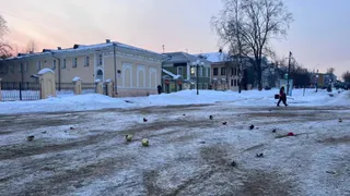 В Вологде будут судить вандалов, которые ободрали шары на новогодней ели
