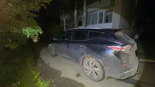 В Вологодской области "Ниссан Мурано" сбил семилетнюю девочку